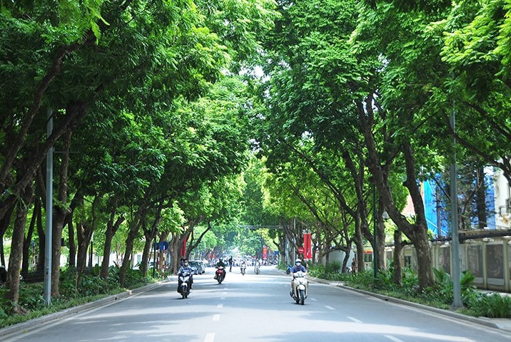 Bắc Bộ ngày nắng, đêm trời chuyển lạnh
