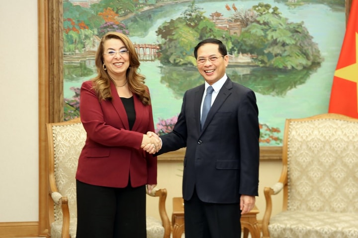 Việt Nam tăng cường hợp tác với UNODC trong phòng, chống tội phạm