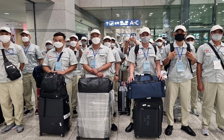 Tuyển chọn nam thực tập sinh Việt Nam sang Nhật Bản không giới hạn chỉ tiêu