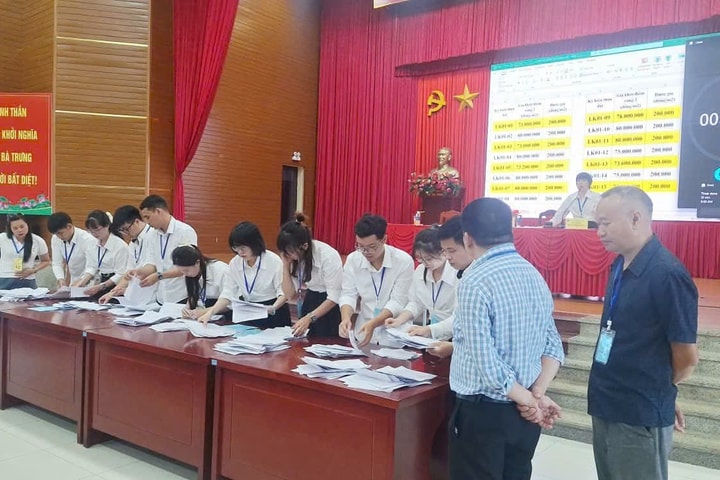 15 thửa đất tại xã Hát Môn được đấu giá thành công với giá cao nhất 117 triệu đồng/m²