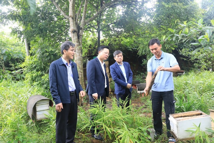 Xã Yên Xuân (Hà Nội) Phát huy giá trị văn hóa, củng cố khối đại đoàn kết toàn dân