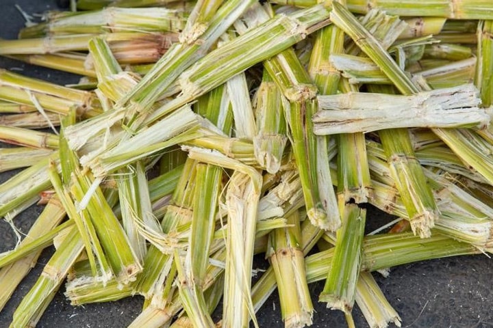 Tro than nông nghiệp - Hướng đi mới thu giữ CO 2 bền vững