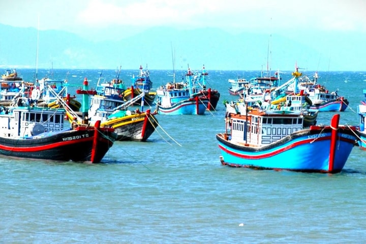 Phòng, chống vi phạm IUU chuyển biến theo hướng tích cực và bền vững