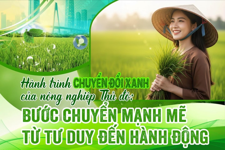 Hành trình chuyển đổi xanh của nông nghiệp Thủ đô: Bước chuyển mạnh mẽ từ tư duy đến hành động