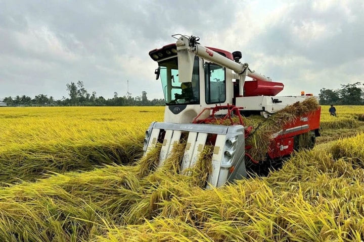 Tối ưu hóa phương pháp tưới tiêu trong nông nghiệp để hạn chế khí mê-tan từ đất