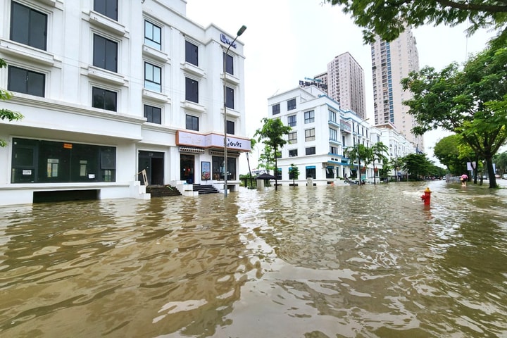 Giải quyết vượt chỉ tiêu hơn 8% số vụ án về quy hoạch, quản lý và sử dụng đất đô thị