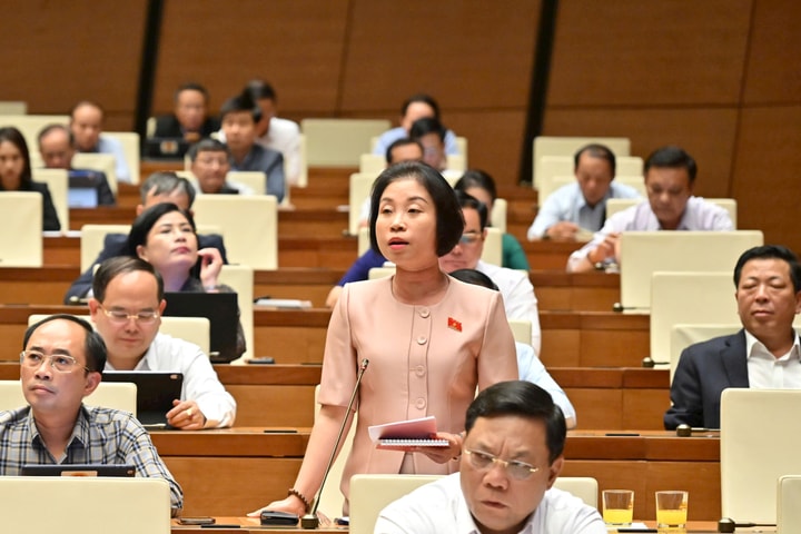 Đại biểu Quốc hội Phạm Thị Thanh Mai: Tình trạng gian lận, trốn thuế đáng báo động