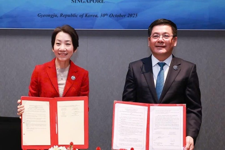 Việt Nam – Singapore thúc đẩy thương mại gạo