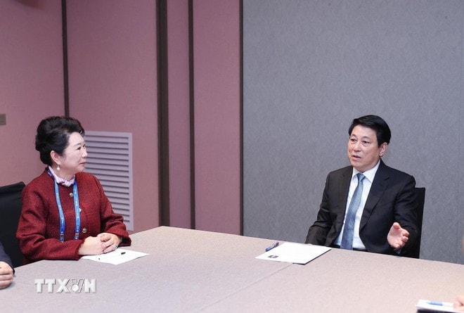 Chủ tịch nước Lương Cường tiếp Nhà sáng lập Tập đoàn MEBO International