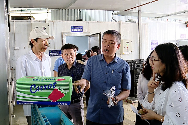 Bảo đảm an toàn thực phẩm nông, lâm, thủy sản: Siết chặt giám sát, cảnh báo sớm nguy cơ