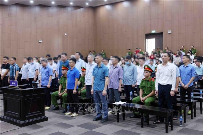 Vụ Tập đoàn Thuận An: 17 bị cáo kháng cáo xin giảm nhẹ hình phạt
