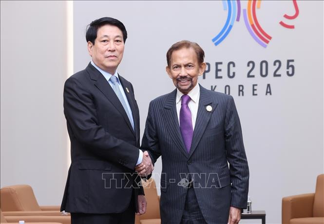 Tuần lễ Cấp cao APEC 2025: Phát triển hơn nữa quan hệ thực chất Việt Nam - Brunei