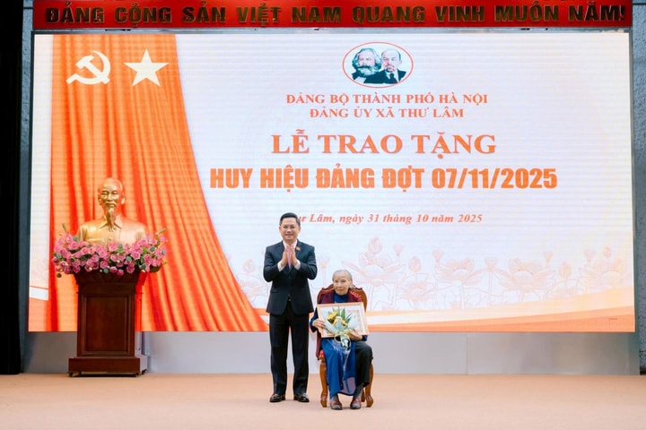 Trưởng ban Tổ chức Thành ủy Hà Nội Hà Minh Hải dự Lễ trao Huy hiệu Đảng tại xã Thư Lâm