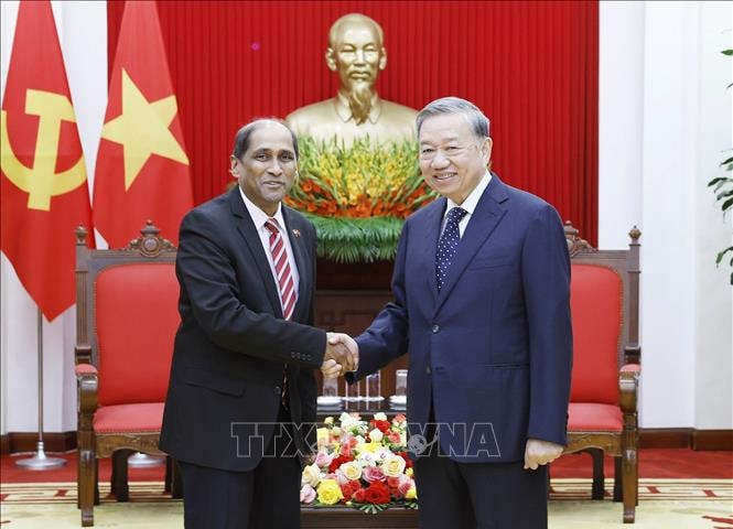 Tổng Bí thư Tô Lâm tiếp Đại sứ Singapore tại Việt Nam