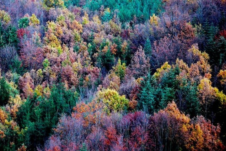 EU đạt thỏa thuận về mục tiêu khí hậu mới trước thềm COP30