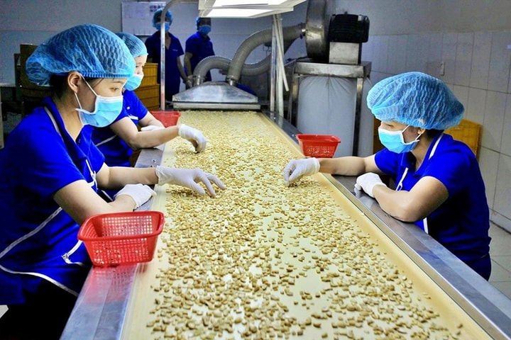 Xuất khẩu nông, lâm, thủy sản hướng đích 70 tỷ USD