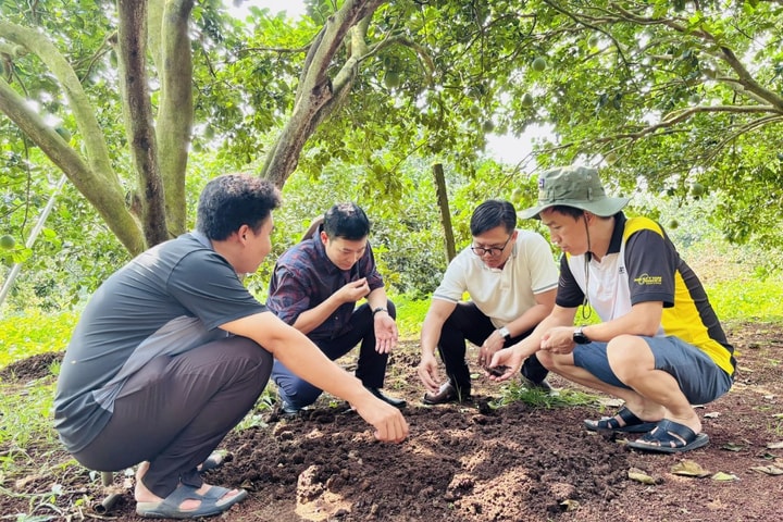 Phát triển kinh tế xanh có phải giải pháp giảm phát thải khí mê-tan