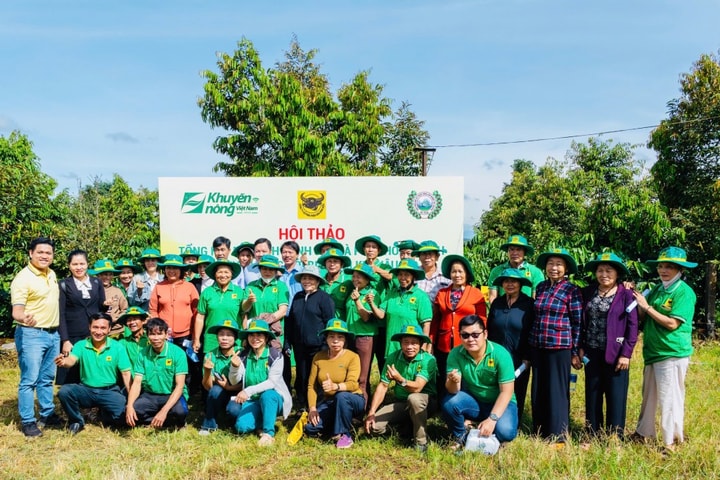 Canh tác cà phê thông minh - Giải pháp "vàng" cho nông dân Tây Nguyên