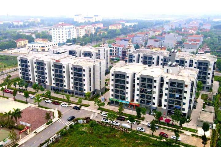 Tin tức đặc biệt trên báo in Hànộimới ngày 8-11-2025