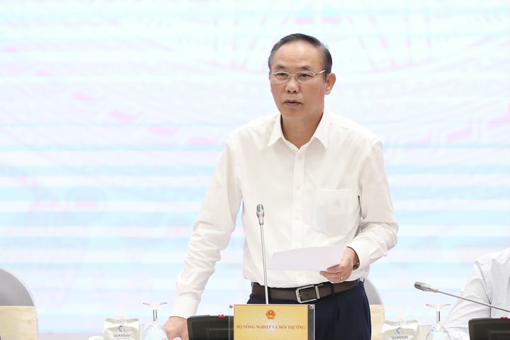 Triển khai các đề án giảm thiểu ngập úng cho sản xuất nông nghiệp và đô thị