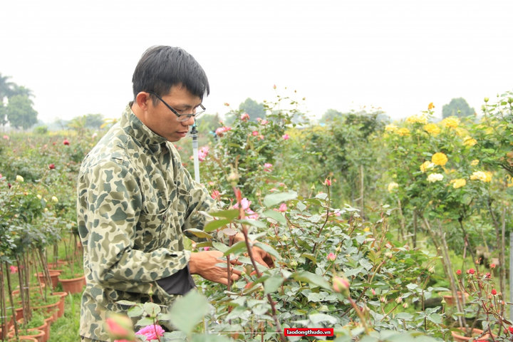 Dùng "Sàn giao dịch số" để minh bạch hóa giá cả thị trường theo thời gian thực