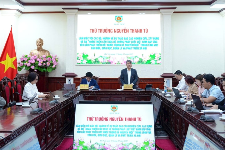 Góp ý hoàn thiện pháp luật lĩnh vực văn hóa, giáo dục, phát triển xã hội