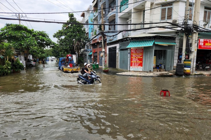 TP Hồ Chí Minh: Vùng lún nhanh có diện tích 14.775ha