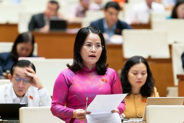 Đại biểu đề xuất viên chức thôi việc do sắp xếp, sáp nhập được trợ cấp tối thiểu 12 tháng lương