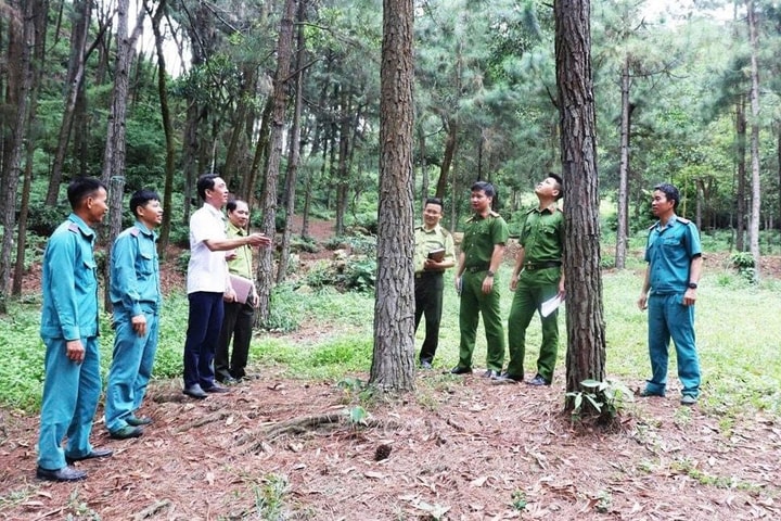 Tin tức đặc biệt trên báo in Hànộimới ngày 14-11-2025