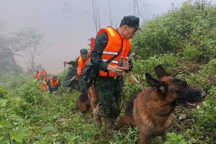 Đà Nẵng: Quân khuyển đến tìm nạn nhân mất tích sau sạt lở đất ở xã Hùng Sơn