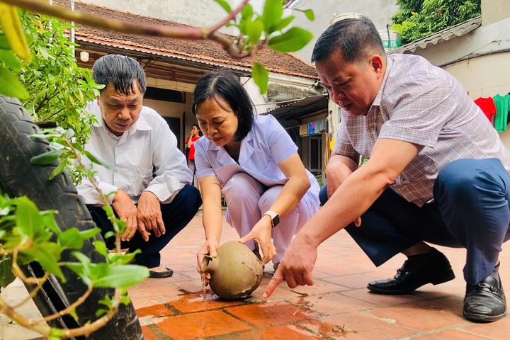 Toàn thành phố ghi nhận 432 trường hợp mắc sốt xuất huyết