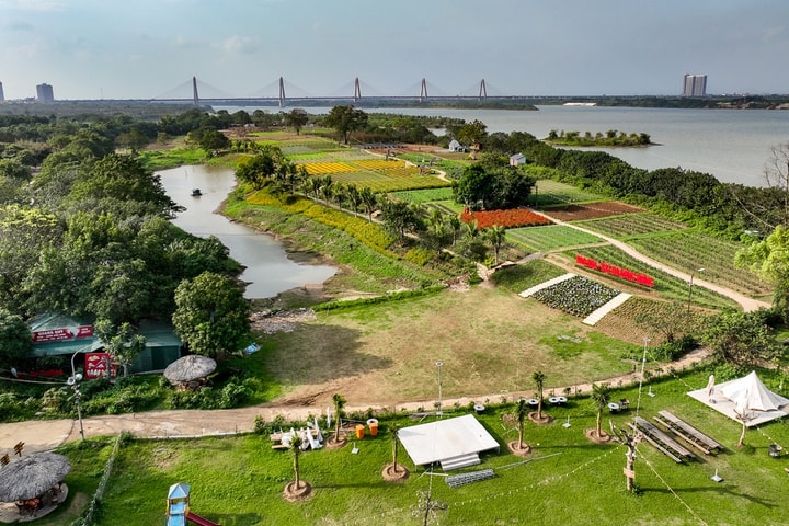 Tin tức đặc biệt trên báo in Hànộimới ngày 18-11-2025