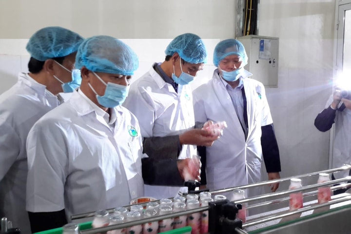 Chủ động phòng ngừa, cảnh báo sớm nguy cơ mất an toàn thực phẩm nông, lâm, thủy sản