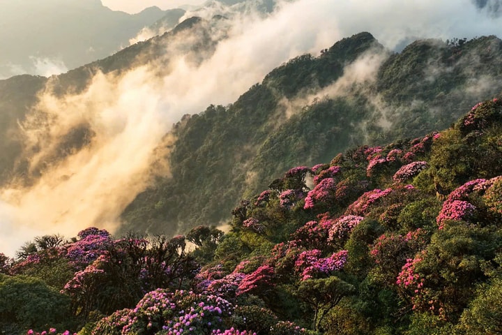 Lai Châu sẵn sàng cho Tuần Du lịch - Văn hóa và Giải Marathon 2025