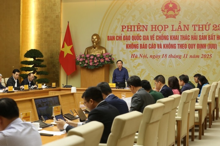 Phó Thủ tướng Trần Hồng Hà: Rà soát toàn bộ công cụ pháp lý và chế tài xử lý vi phạm hành chính về khai thác IUU