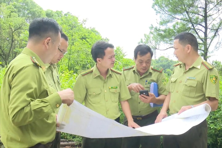 Quỹ Bảo vệ và Phát triển rừng thành phố Hà Nội: Đẩy nhanh chính sách chi trả dịch vụ môi trường rừng