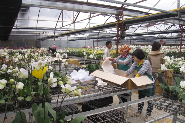 Hà Nội triển khai quy định về xây dựng tại vùng nông nghiệp tập trung