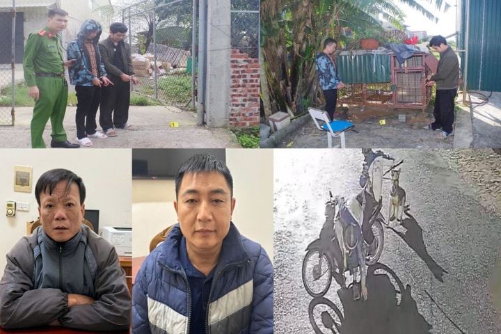 Đông Quang (Thanh Hoá): Bắt giữ các đối tượng trộm chó với thủ đoạn tinh vi, manh động