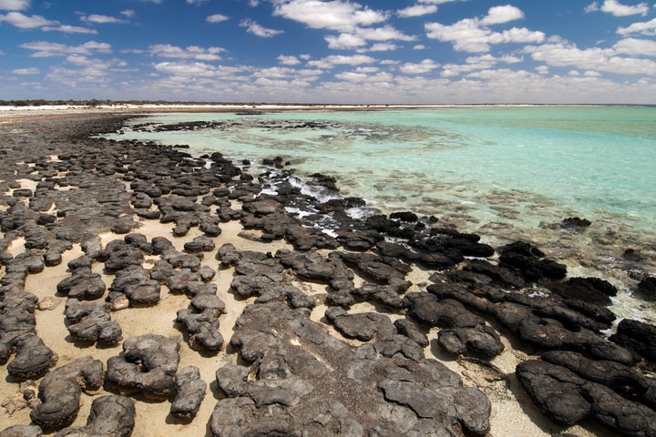 Phát hiện dấu vết sự sống cổ xưa nhất trên Trái đất