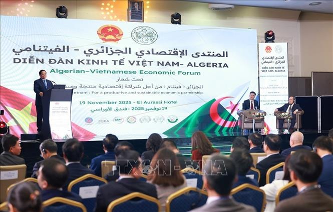 Thủ tướng Phạm Minh Chính và Thủ tướng Algeria cùng dự Diễn đàn kinh tế Việt Nam - Algeria