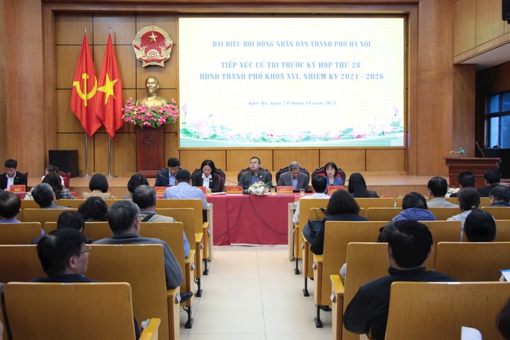 Cử tri phường Ba Đình, Ngọc Hà, Giảng Võ kiến nghị hoàn thiện hạ tầng đô thị