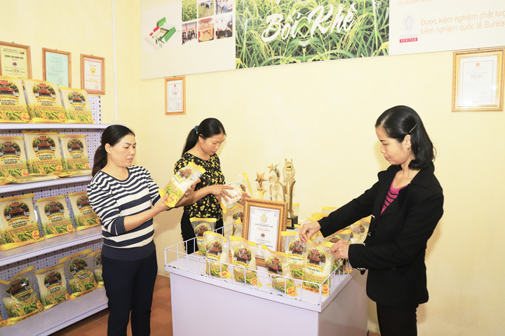 “Chìa khóa vàng” mở rộng thị trường tiêu thụ nông sản