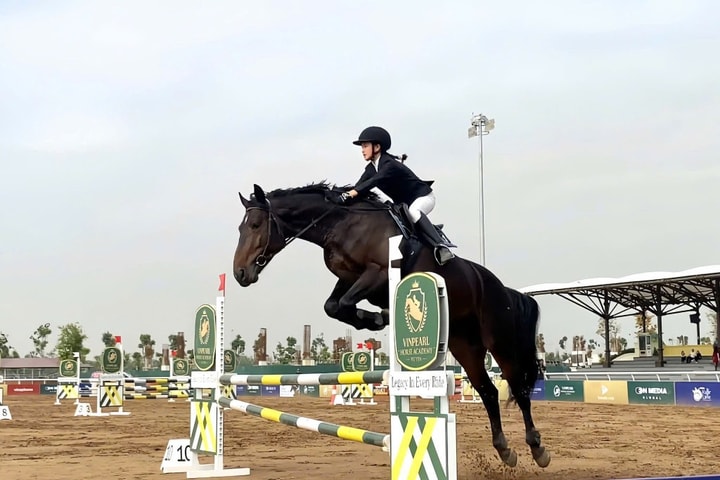 Vinpearl Equestrian Cup 2025: Bước đột phá của thể thao cưỡi ngựa Việt Nam