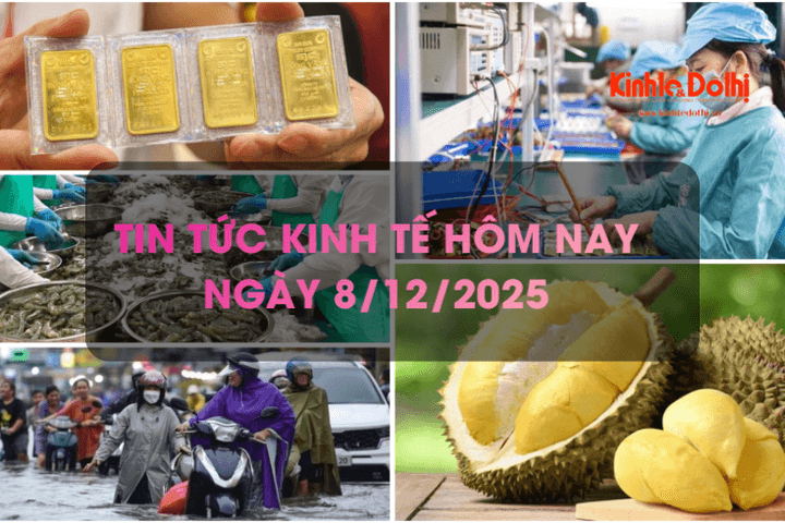 Tin tức kinh tế 8/12: thuỷ sản Việt Nam tiến sát mốc xuất khẩu kỷ lục