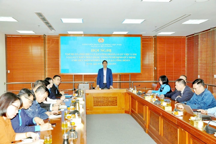Nắm vững pháp luật - chìa khóa để cán bộ Công đoàn làm tốt vai trò đại diện, bảo vệ người lao động