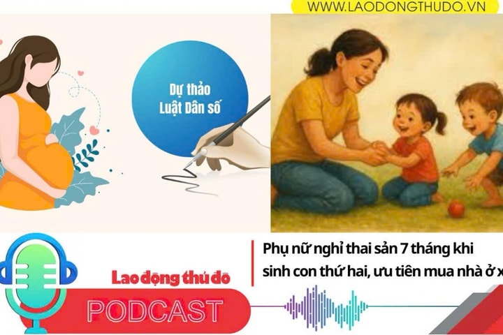 Điểm những tin nổi bật tối ngày 10/12/2025: Phụ nữ nghỉ thai sản 7 tháng khi sinh con thứ hai, ưu tiên mua nhà ở xã hội