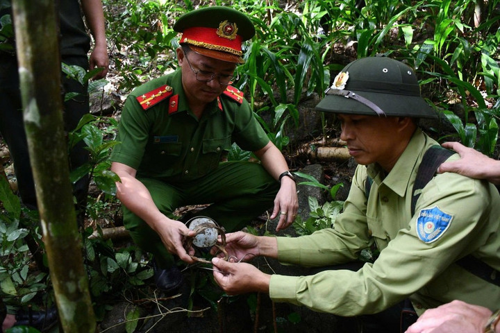 Đà Nẵng: Gỡ bỏ nhiều bẫy săn động vật hoang dã