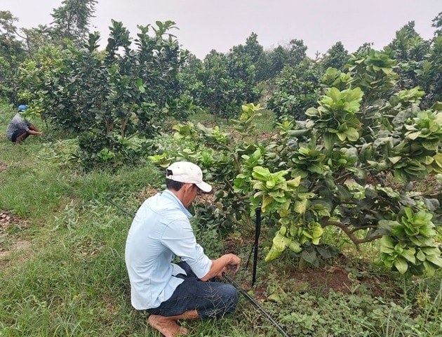 Tái sử dụng nước thải trong nông nghiệp "Lời giải xanh" giảm phát thải Mê-tan, hướng tới nền kinh tế tuần hoàn