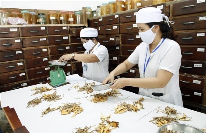 Hà Nội: Thúc đẩy y học cổ truyền trong giai đoạn mới