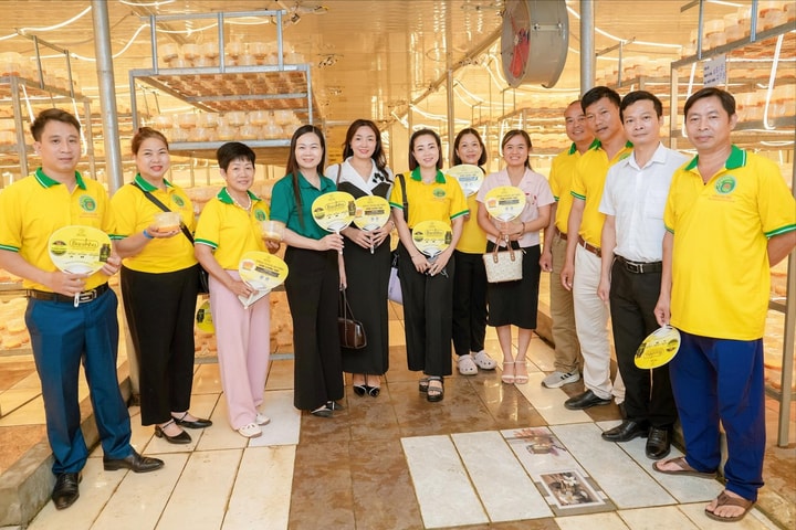 Thông tin kỹ thuật, thị trường giúp nông dân Thủ đô làm giàu bền vững